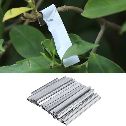 faceți clic pe podgorie și plante